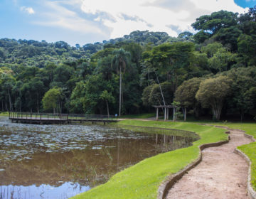 Jardim Botânico da UFJF é inaugurado