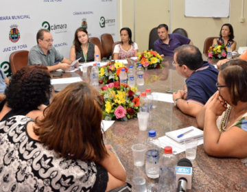 Câmara Mirim 2019 define opções de tema para elaboração de propostas