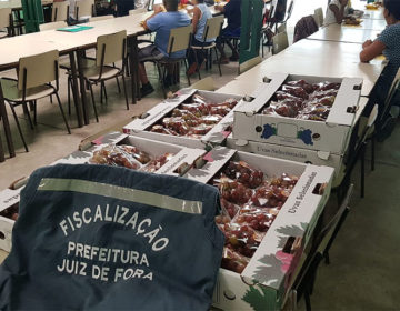 PJF doa cerca de 290 kg de frutas para instituições educacionais da cidade