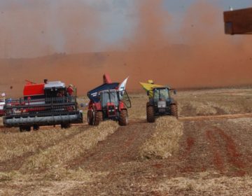 Produção de grãos deve alcançar 235,3 milhões de toneladas, diz Conab