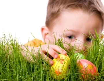 Sedeta divulga variação de preços de produtos de Páscoa