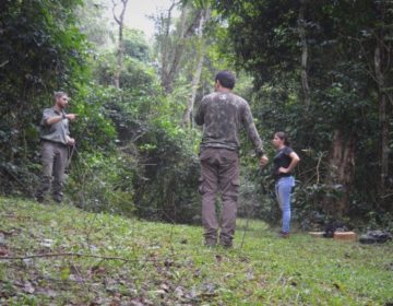 Equipe de captura da onça-pintada é reforçada