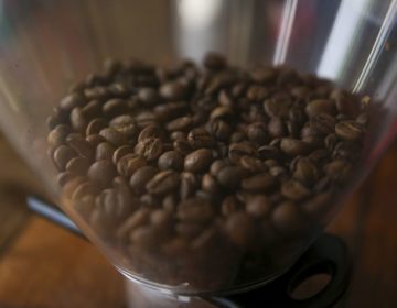 Conab prevê que país colherá 50,92 milhões de sacas de café neste ano