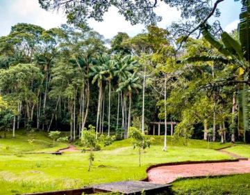 Jardim Botânico reabre nesta quarta-feira