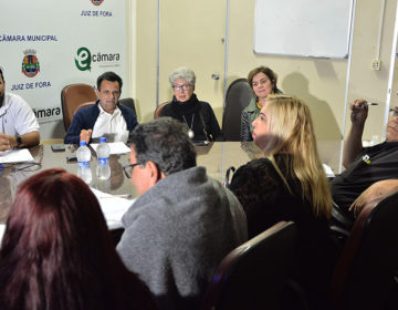 Comissão dos Direitos da Pessoa com Deficiência apresenta os avanços na contratação de bidocentes