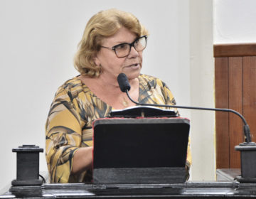 Câmara abre Frente Parlamentar para conscientizar a população contra a Dengue