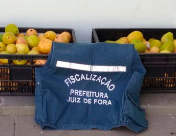 Frutas apreendidas pela fiscalização são doadas para instituições beneficentes