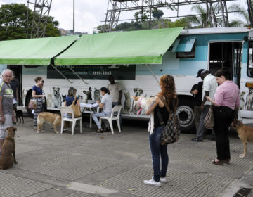 Castramóvel retoma atividades na cidade