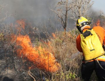 Campanha vem conscientizar sobre riscos de queimadas durante a seca