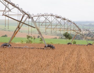 Safra recorde de grãos deve chegar a 240,7 milhões de toneladas