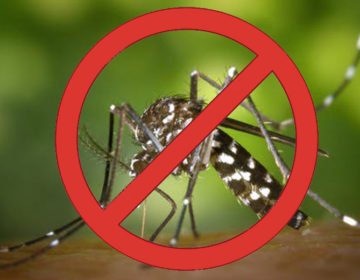 Combate à Dengue: ações de Educação em Saúde retornam na próxima semana