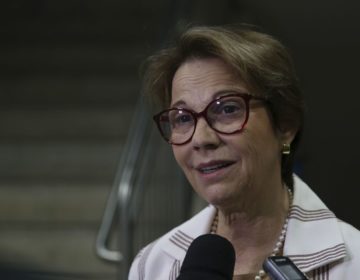 Ministra defende punição para quem fizer queimada ilegal