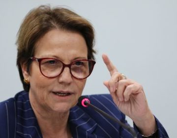 “Setor de couros do Brasil é sustentável”, diz ministra da Agricultura