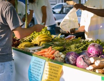 Feira Orgânica da UFJF completa um ano de atuação