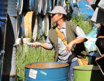 Resultado do LIRAa mantém Juiz de Fora em situação de alerta