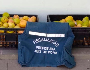 Frutas e hortaliças apreendidas pela fiscalização são doadas para instituições