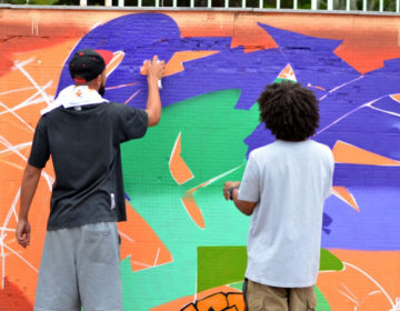 Câmara aprova projeto que regulamenta arte em grafite em Juiz de Fora