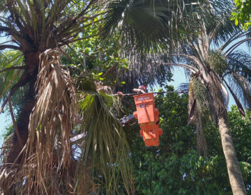 Empav realiza manutenção em mais de dez bairros nesta semana