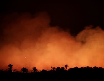 Incêndios na Amazônia afetam crianças e custam R$ 1,5 milhão ao SUS