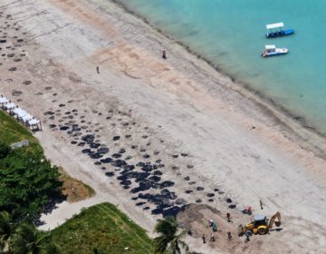 Alcolumbre anuncia MP que libera recursos a cidades atingidas por óleo