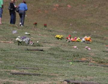 Parque da Saudade espera 20 mil visitantes no Dia de Finados