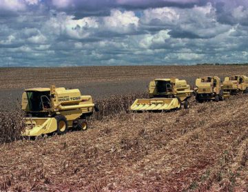 Tecnologia aumenta produtividade agropecuária e diminui mão de obra