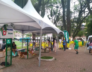 Cães e gatos ganham novo lar em evento de adoção do Canil Municipal