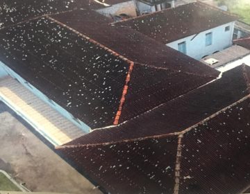 Abrigo Santa Helena lança a campanha “Reforma do Telhado”