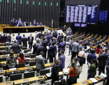 Câmara aprova aumento de pena para quem ferir cães e gatos