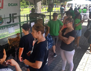 Canil Municipal doa nove animais no último evento do ano