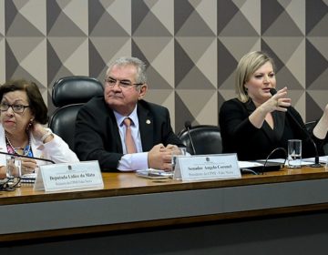 CPIs em 2019 abordaram Brumadinho e fake news