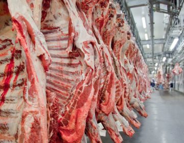 Exportações de carne podem fechar 2019 com resultado recorde