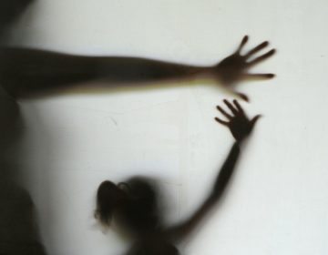 Projeto de Lei institui mês “Maio Laranja”