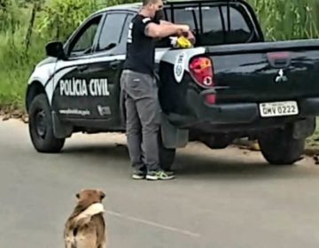 Polícia Civil faz distribuição de ração para cães de rua em Juiz de Fora