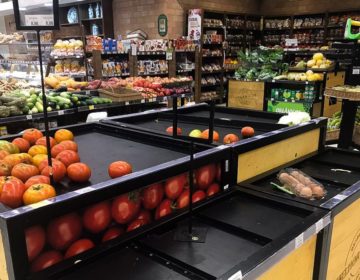 BC projeta queda forte da economia no primeiro semestre deste ano