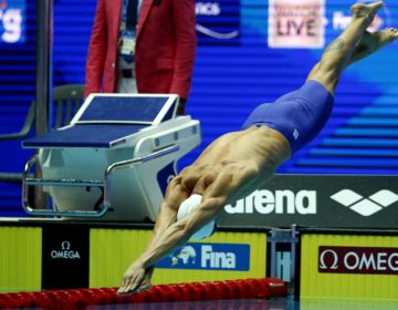 Campeonato Mundial de Desportos Aquáticos é adiado para maio de 2022