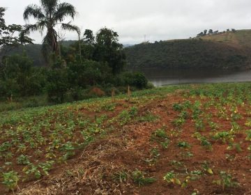 PJF comemora “Dia do Meio Ambiente” com apresentação de programa e plataforma sustentáveis