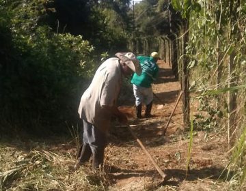 Semaur faz alerta sobre consequências de incêndios nas áreas verdes