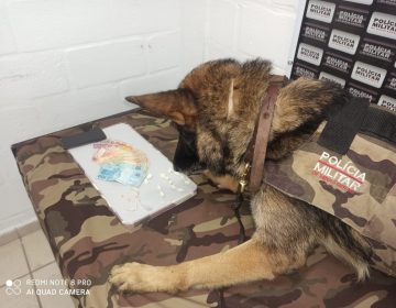 PM encontra drogas escondidas em um matagal no Bairro Milho Branco