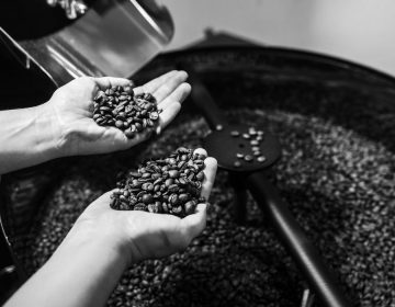 Exportação de café cai 3,6% na safra 2019-2020, mas bate recorde