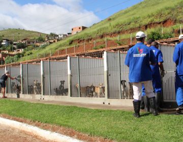 Canil Municipal mantém serviço de adoção de animais durante a pandemia
