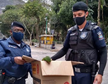 Guarda Municipal socorre criança no Calçadão e recolhe ave no Parque Halfeld