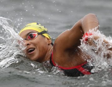 Fina cancela últimas etapas do ano e encerra Circuito Mundial de Maratona Aquática