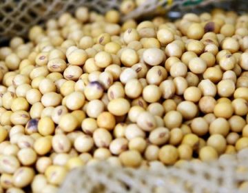 Agronegócio mineiro tem superávit de US$ 4,54 bi de janeiro a julho