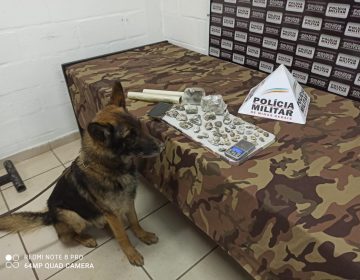 Com auxílio de cão farejador, PM localiza drogas escondidas debaixo do teleférico da UFJF