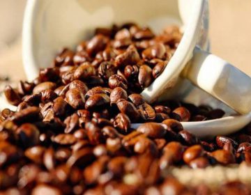 Safra mineira de café poderá ter produção recorde em 2020