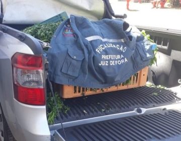 Fiscalização atua para coibir comércio irregular na praça do Bairro Manoel Honório