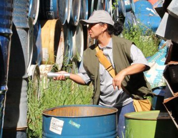 Levantamento sobre infestação do Aedes aegypti de outubro é suspenso