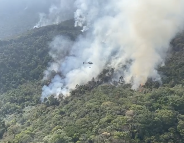 Incêndio no Parque Estadual do Ibitipoca é controlado pelos Bombeiros