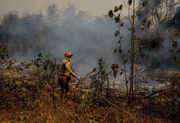 Projeto aumenta para até seis anos de prisão pena aplicada a quem provocar incêndio em floresta
